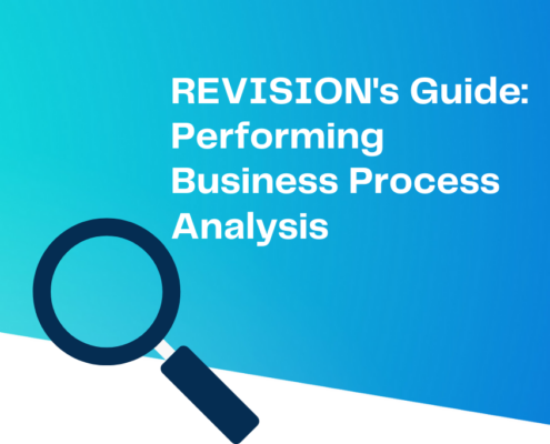 REVISION's Guide: Performing Business Process Analysis