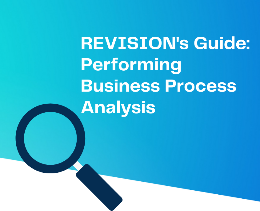 REVISION's Guide: Performing Business Process Analysis